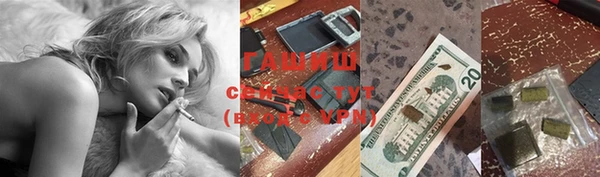 гашик Богданович