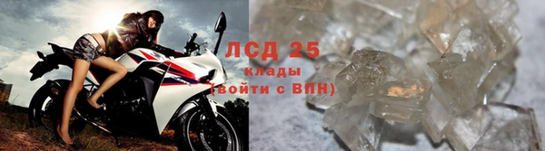 крисы Богородицк