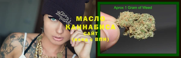 крисы Богородицк