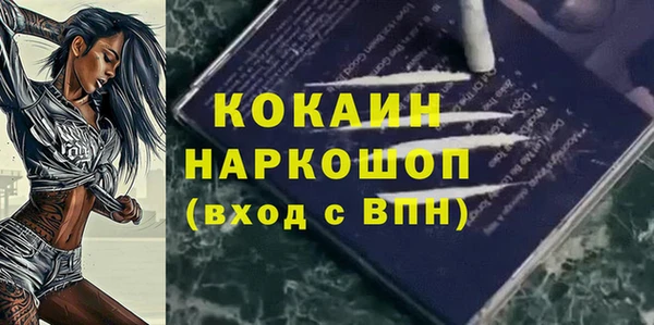 гашик Богданович