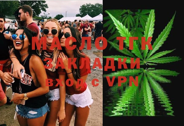 крисы Богородицк