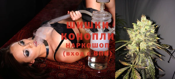 PSILOCYBIN Богородск