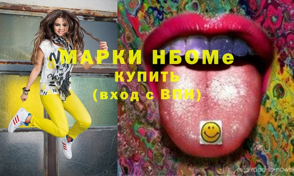 крисы Богородицк