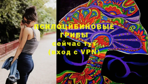 ПСИЛОЦИБИНОВЫЕ ГРИБЫ Белокуриха