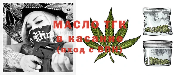 крисы Богородицк