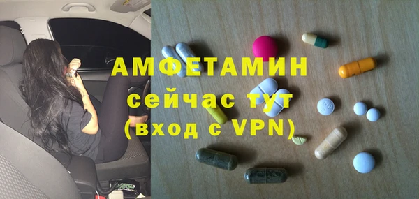 крисы Богородицк