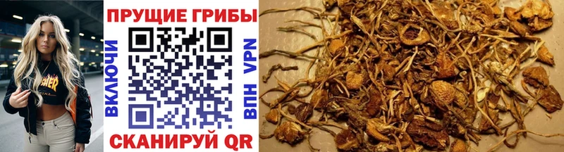Галлюциногенные грибы Magic Shrooms  Кологрив 